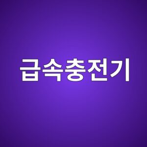 급속충전기에서 전도성 노이즈가 발생하는 이유 6 eab889ec868decb6a9eca084eab8b0 1789923836