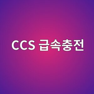 CCS 급속충전의 CableCheck 단계에서는 무엇을 검사할까 1 ccs eab889ec868decb6a9eca084 1792798106