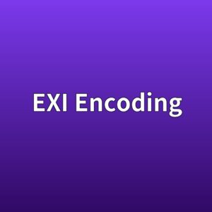 exi encoding 1791679615
